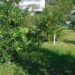 Apartman Ivica Lupic *