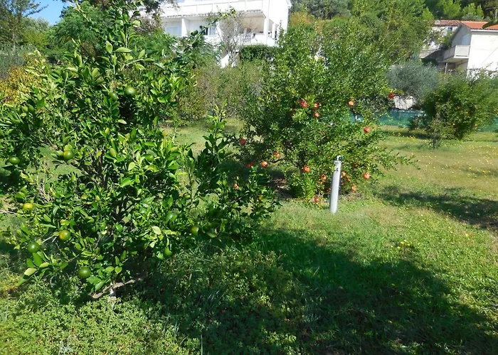 Appartement Ivica Lupic *